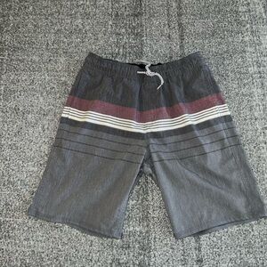 Boys Gray Hang Ten Board Vacation Springbreak Shorts sz Large